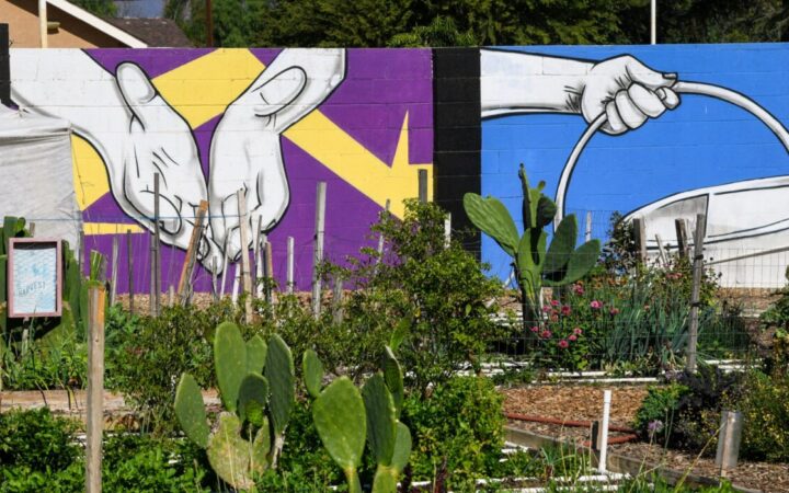 Local Food Policy Database