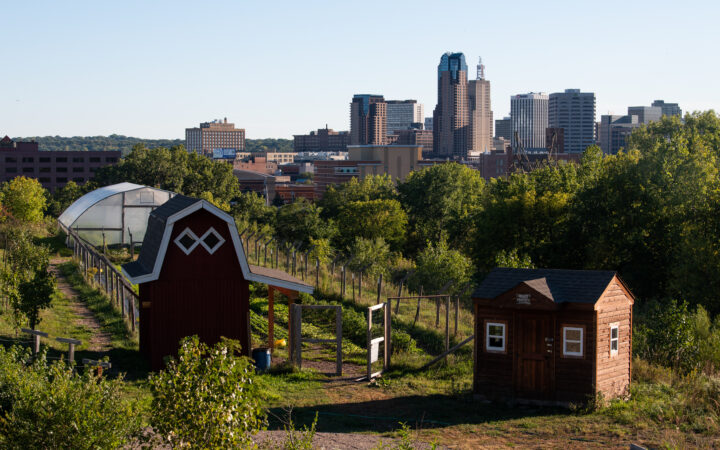 Visiting Assistant Professor Liz Turner shares insights from the “Urban Agriculture and Innovative Production: A Guide to Local Policy,” a CAFS resource developed through her research as a CAFS fellow.
