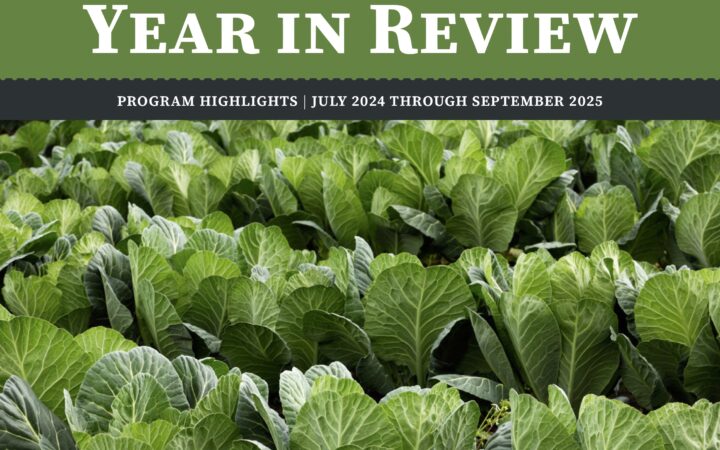 Explore CAFS's 2025 Year in Review to learn how our staff, faculty, students, and partners engage in innovative and practical work that spans the food system. 