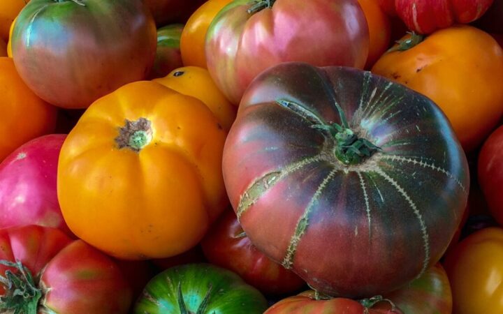 Boston’s Good Food Purchasing Policy, Part 2: Assessing the implementation of the city's values-based procurement requirement 