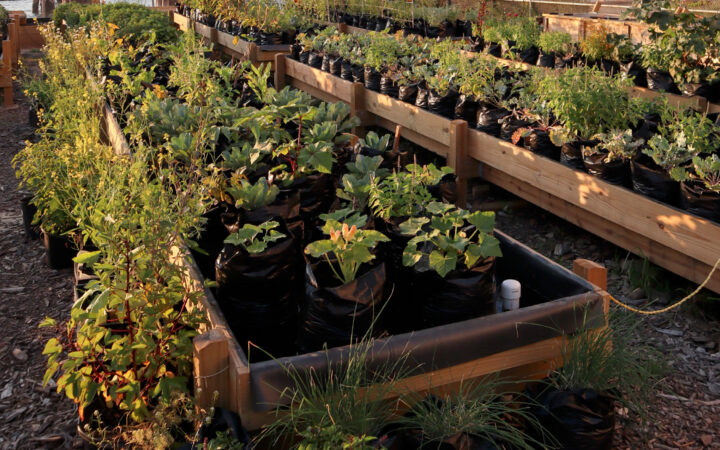 Food Systems Resilience | Center for Agriculture & Food Systems