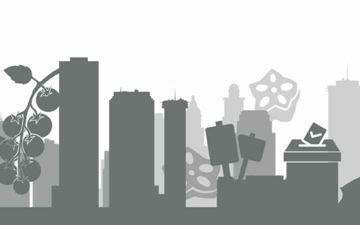 City Governance and Public Funding: Local Policy Barriers and Strategies for Urban Agriculture