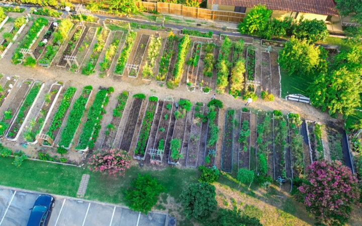 Urban Agriculture and Innovative Production Policy Project