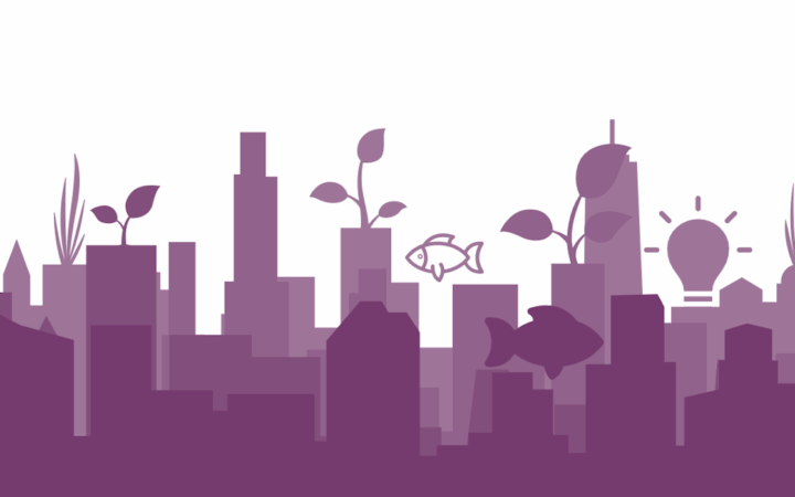 Innovative Production: Local Policy Barriers and Strategies for Urban Agriculture