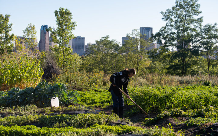 Local Food Policy Resource Hub
