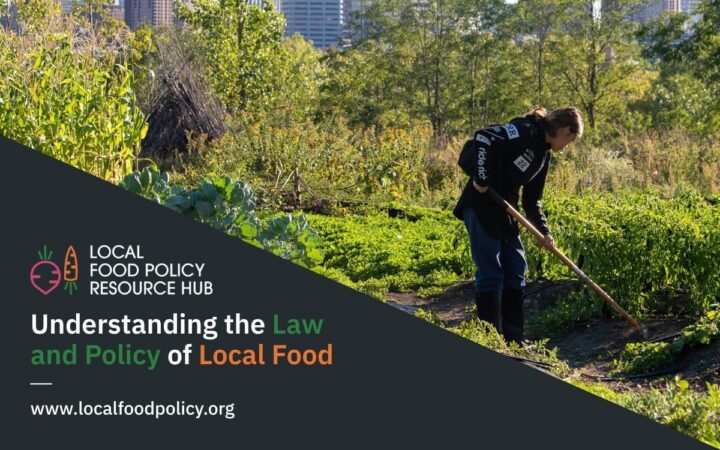 A new online resource from CAFS provides a policy database, resource library, and technical assistance lab to provide information on how local governments can support local and regional food systems.