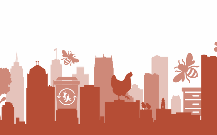 Zoning and Land Use: Local Policy Barriers and Strategies for Urban Agriculture